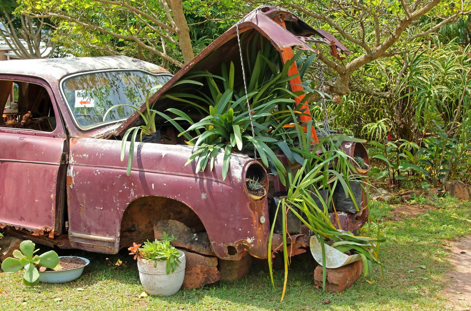 Rusty abandoned car
